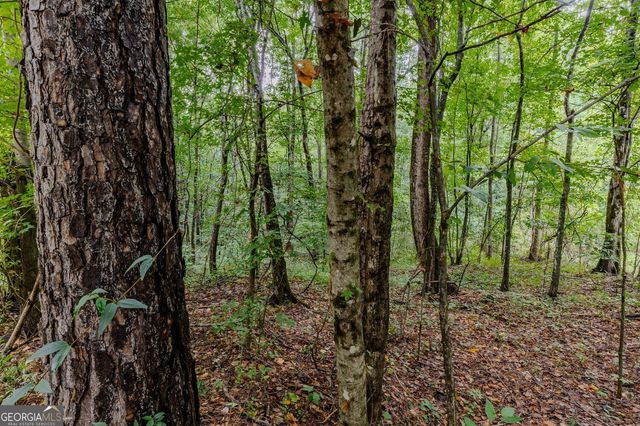 5127 Proctor Landing Road, Acworth, GA 30101
