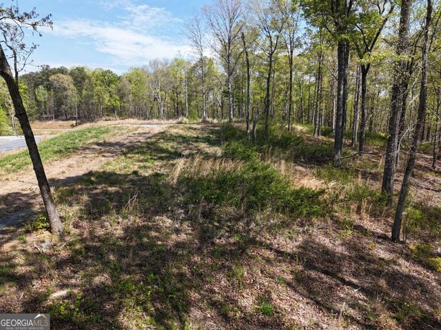 LT 20 Blalock Mountain Road, Ellijay, GA 30540