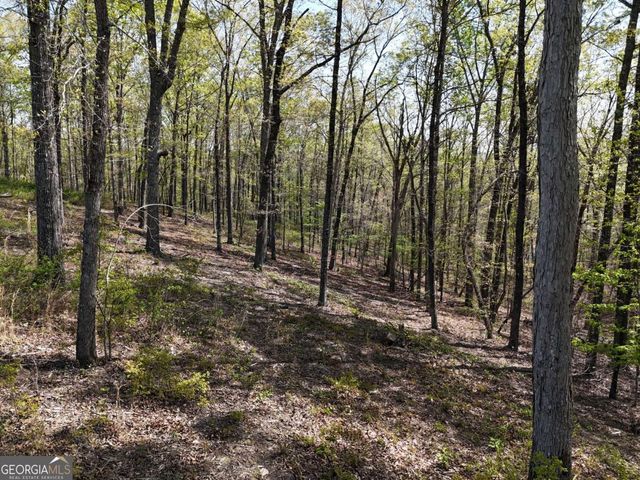 LT 20 Blalock Mountain Road, Ellijay, GA 30540