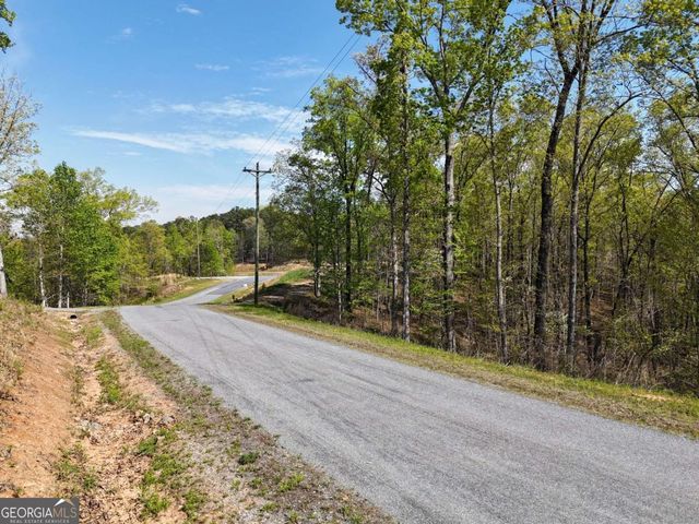LT 20 Blalock Mountain Road, Ellijay, GA 30540
