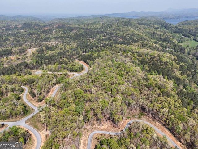 LT 20 Blalock Mountain Road, Ellijay, GA 30540
