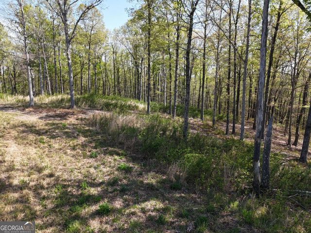 LT 20 Blalock Mountain Road, Ellijay, GA 30540