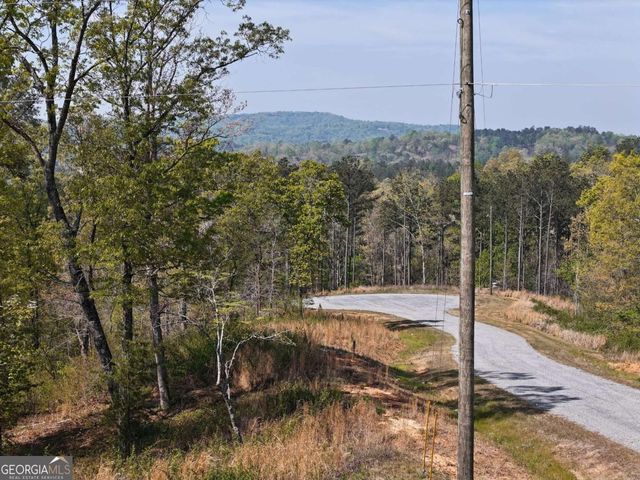 LT 20 Blalock Mountain Road, Ellijay, GA 30540