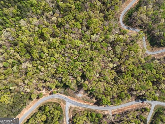 LT 20 Blalock Mountain Road, Ellijay, GA 30540