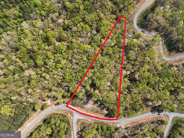 LT 20 Blalock Mountain Road, Ellijay, GA 30540