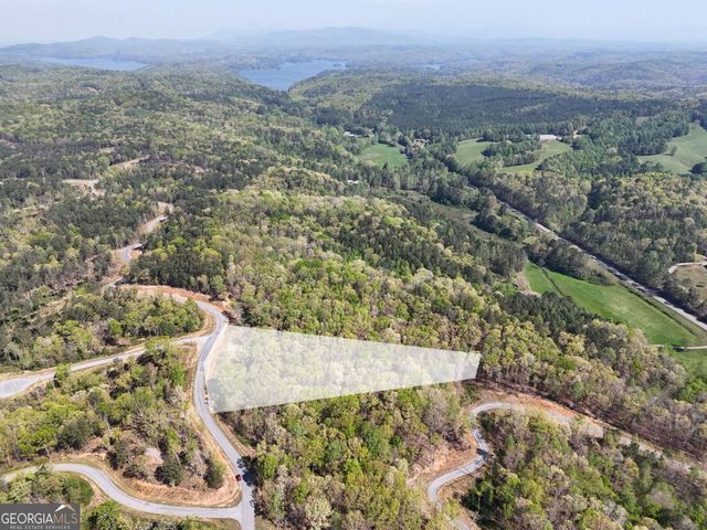 LT 20 Blalock Mountain Road, Ellijay, GA 30540