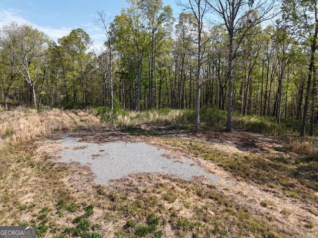 LT 20 Blalock Mountain Road, Ellijay, GA 30540