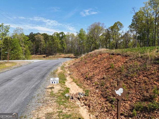 LT 20 Blalock Mountain Road, Ellijay, GA 30540