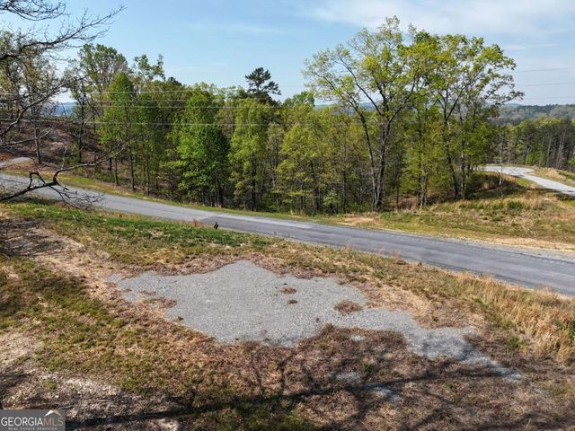 LT 20 Blalock Mountain Road, Ellijay, GA 30540