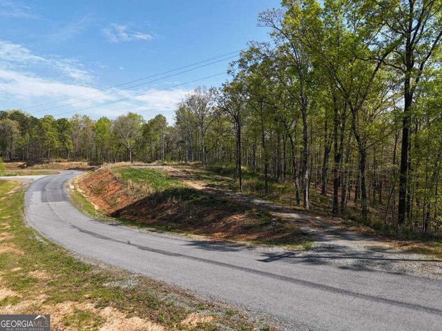 LT 20 Blalock Mountain Road, Ellijay, GA 30540