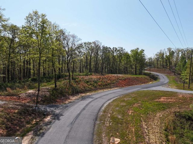 LT 20 Blalock Mountain Road, Ellijay, GA 30540