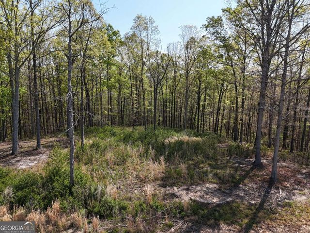 LT 20 Blalock Mountain Road, Ellijay, GA 30540