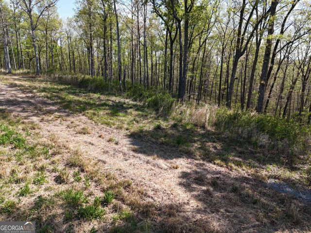 LT 20 Blalock Mountain Road, Ellijay, GA 30540
