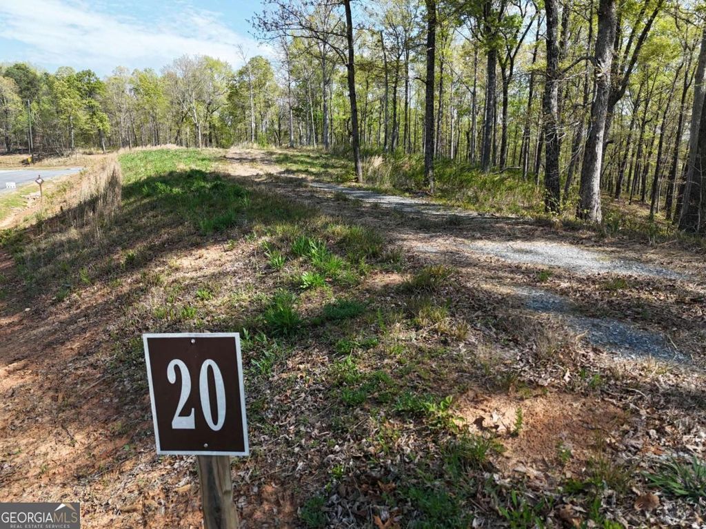 LT 20 Blalock Mountain Road, Ellijay, GA 30540