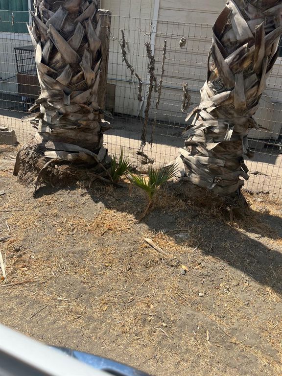 Image 6 of property listing at 2145 Dairy Avenue # A, Corcoran, CA 93212