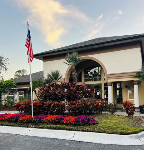 17112 CARRINGTON PARK DRIVE 933, Tampa, FL 33647