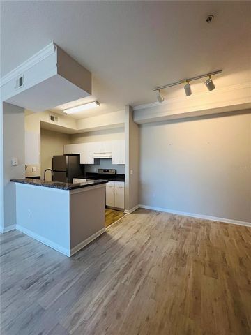 17112 CARRINGTON PARK DRIVE 933, Tampa, FL 33647