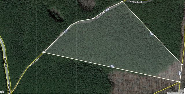 132 Rocky Top Dr, Hohenwald, TN 38462