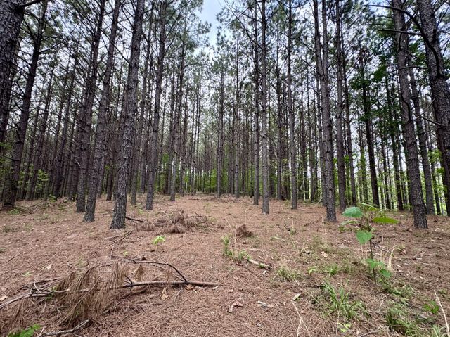 132 Rocky Top Dr, Hohenwald, TN 38462