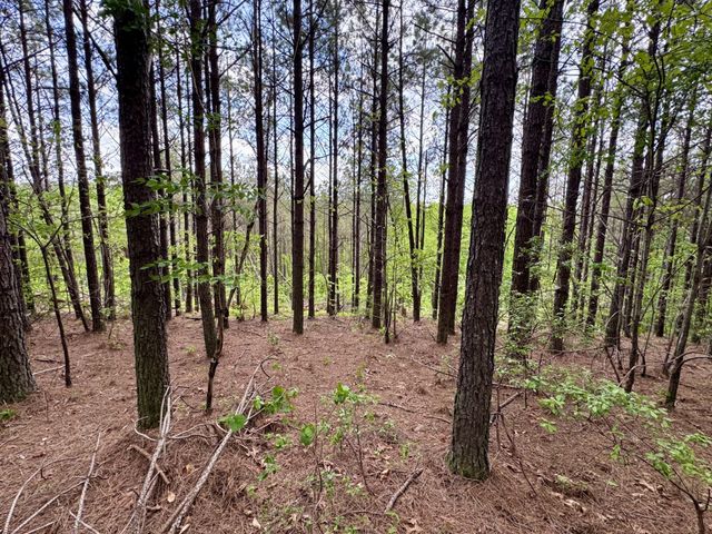 132 Rocky Top Dr, Hohenwald, TN 38462