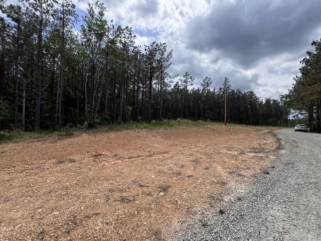 132 Rocky Top Dr, Hohenwald, TN 38462