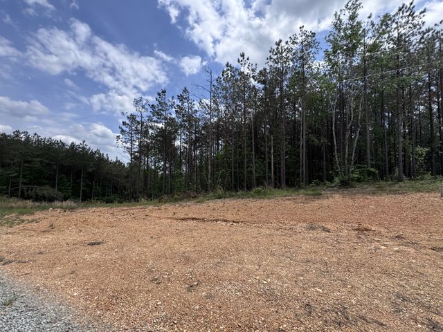 132 Rocky Top Dr, Hohenwald, TN 38462