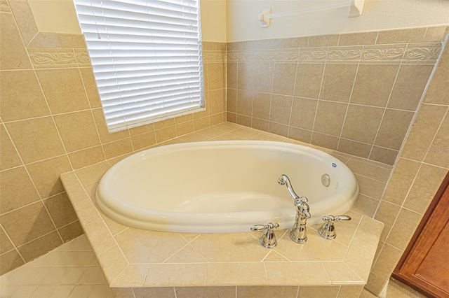 20002 HERITAGE POINT DRIVE, Tampa, FL 33647