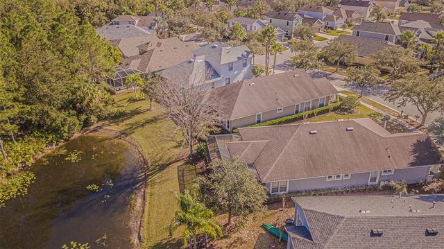 20002 HERITAGE POINT DRIVE, Tampa, FL 33647