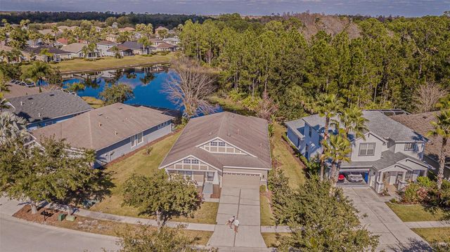 20002 HERITAGE POINT DRIVE, Tampa, FL 33647