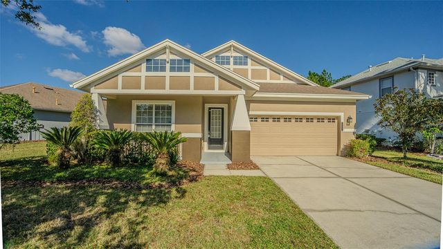 20002 HERITAGE POINT DRIVE, Tampa, FL 33647