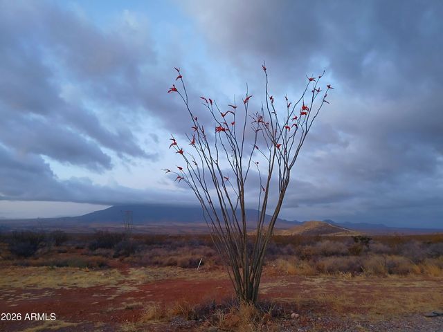 TBD W Luna Nueva Road, Bisbee, AZ 85603