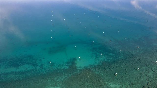 7132 8th Avenue, Tahoma, CA 96142