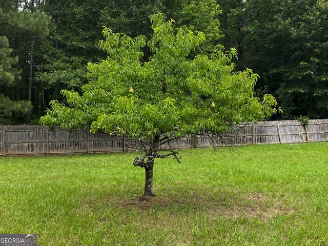 130 Thomas Trail, Fayetteville, GA 30215