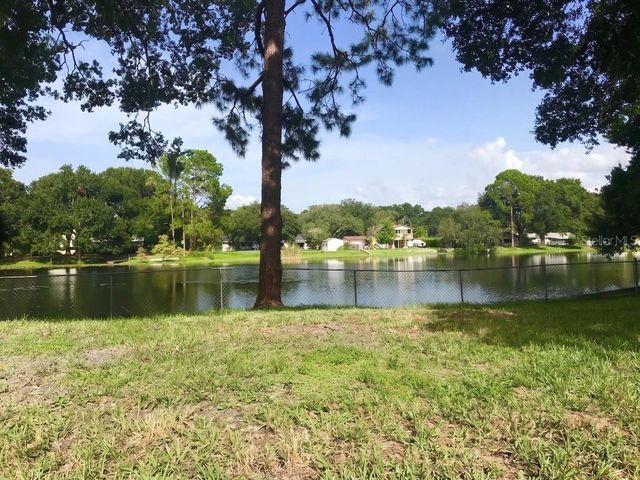 12001 N GOMEZ AVENUE, Tampa, FL 33618