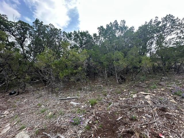 19101 Silver Maple DR, Lago Vista, TX 78645