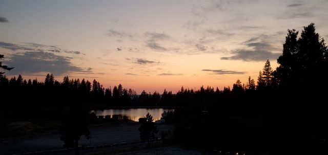 33757 Upper Leland Rd B, Pinecrest, CA 95364