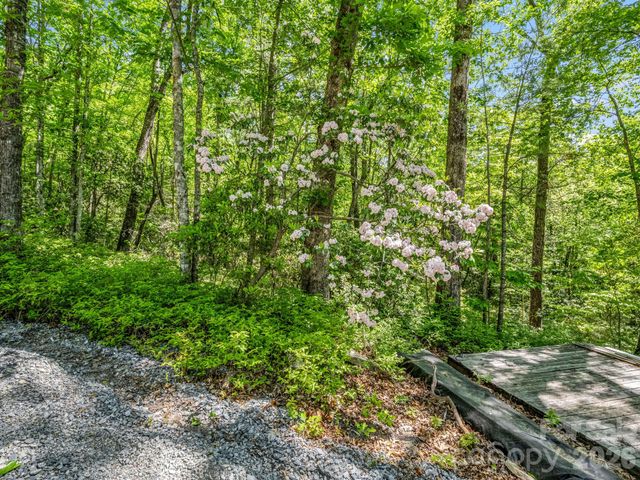 352 Big Hill Road, Brevard, NC 28712