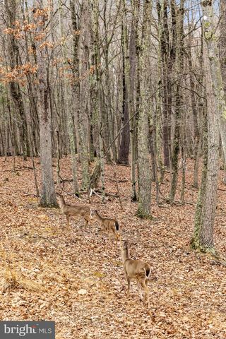 2368 CROSSINGS VIEW RD, Paw Paw, WV 25434