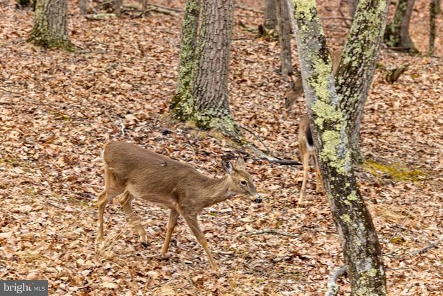 2368 CROSSINGS VIEW RD, Paw Paw, WV 25434