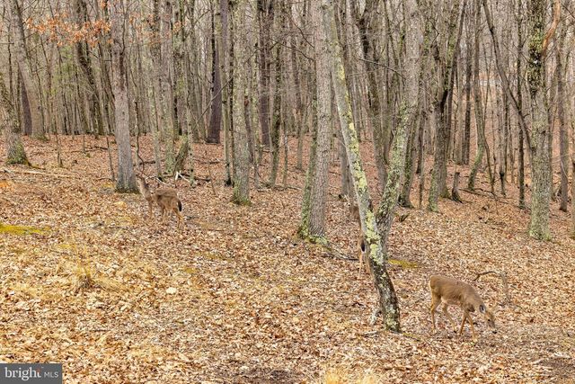 2368 CROSSINGS VIEW RD, Paw Paw, WV 25434