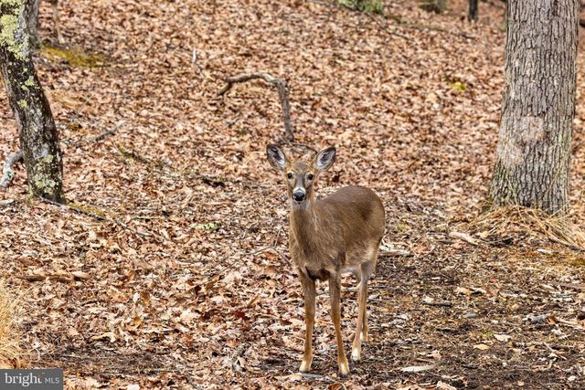 2368 CROSSINGS VIEW RD, Paw Paw, WV 25434