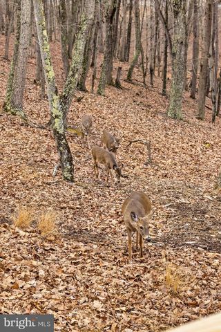 2368 CROSSINGS VIEW RD, Paw Paw, WV 25434