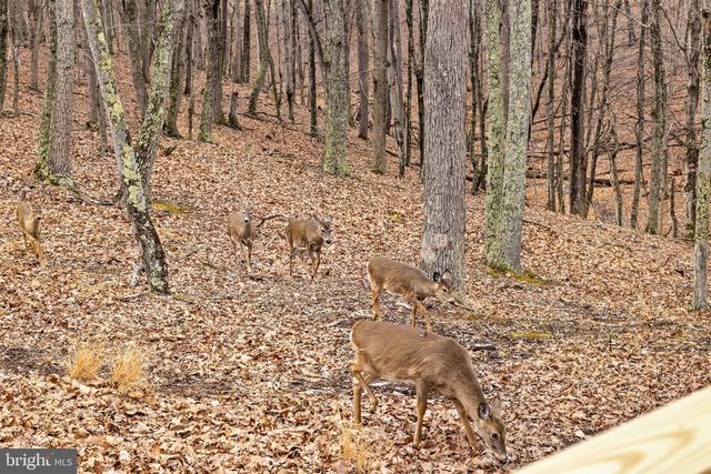 2368 CROSSINGS VIEW RD, Paw Paw, WV 25434