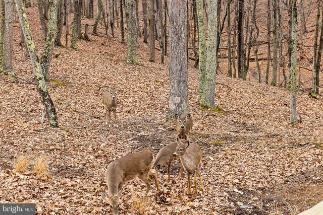 2368 CROSSINGS VIEW RD, Paw Paw, WV 25434