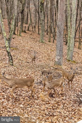 2368 CROSSINGS VIEW RD, Paw Paw, WV 25434