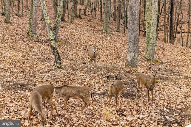 2368 CROSSINGS VIEW RD, Paw Paw, WV 25434