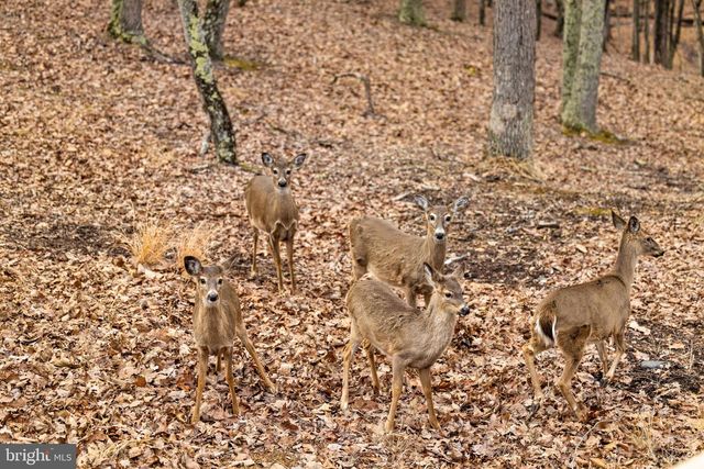 2368 CROSSINGS VIEW RD, Paw Paw, WV 25434