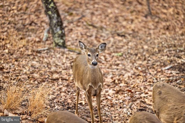 2368 CROSSINGS VIEW RD, Paw Paw, WV 25434