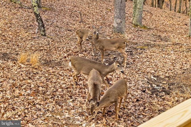 2368 CROSSINGS VIEW RD, Paw Paw, WV 25434