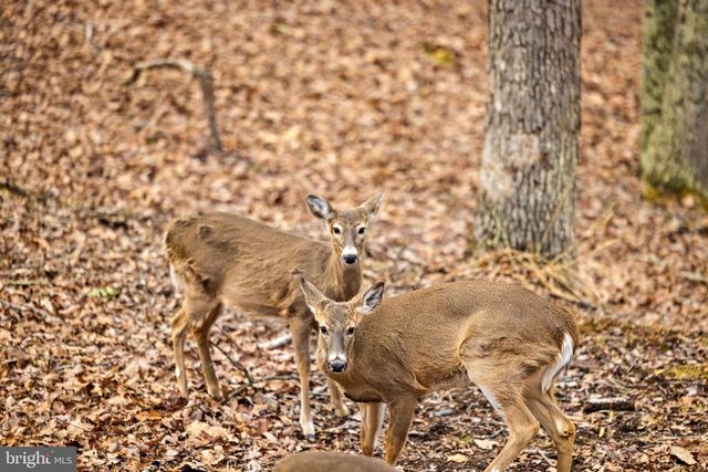 2368 CROSSINGS VIEW RD, Paw Paw, WV 25434